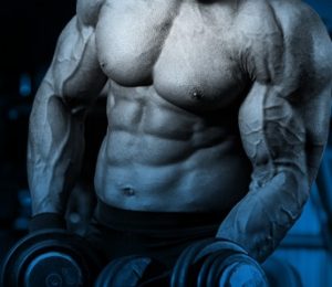 Body Builder with 2 dumbbells